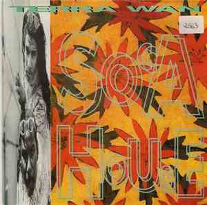 Terra W.A.N. - Soca House