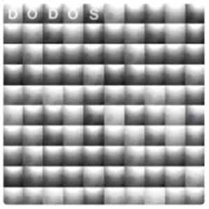 The Dodos - All Night