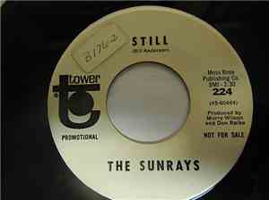 The Sunrays - Still