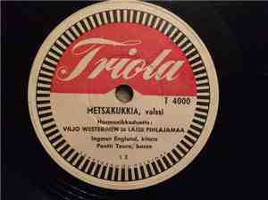 Viljo Westerinen Ja Lasse Pihlajamaa - Metsäkukkia / Valssi Menneiltä Ajoil ...