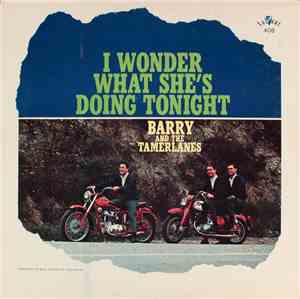 Barry And The Tamerlanes - I Wonder What She's Doing Tonight