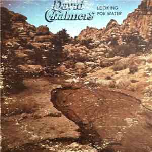 David Chalmers - Looking For Water