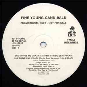 Fine Young Cannibals - She Drives Me Crazy