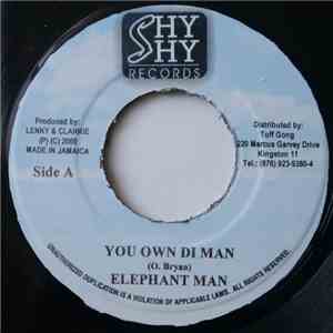 Elephant Man / Zicka P - You Own Di Man / Well Well