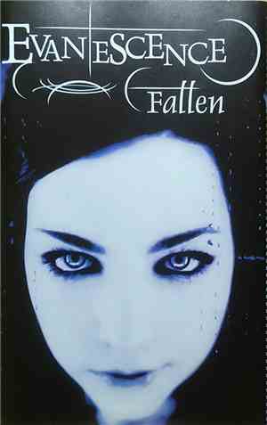 Evanescence - Fallen