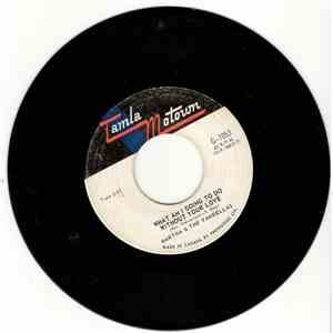 Martha & The Vandellas - What Am I Going To Do Without Your Love
