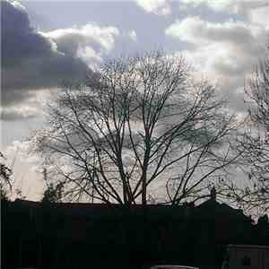 Ocean in a Bottle - Approaching Stretford