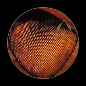 The Whole Traffic - The Whole Traffic 2