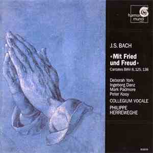 J.S. Bach - Deborah York, Ingeborg Danz, Mark Padmore, Peter Kooy, Collegiu ...