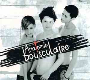 Anatomie Bousculaire - Anatomie Bousculaire