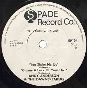 Andy Anderson & The Dawnbreakers - You Shake Me Up