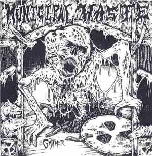 Municipal Waste - Municipal Waste
