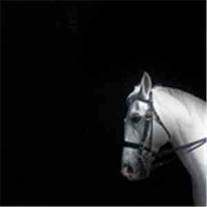 Pablo Akaros - Horse Morse