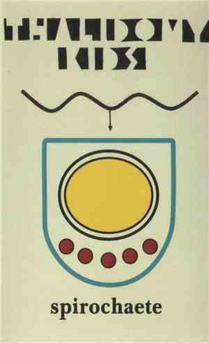 Thalidomy Kids - Spirochaete