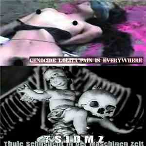 Genocide Lolita vs. TSIDMZ - Pain Is Everywhere / Thulesehnsucht In Der Mas ...