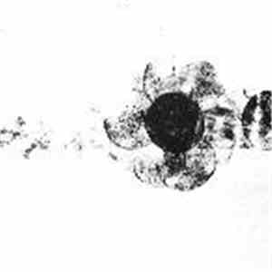 Relapxych.0 / Rapoon - Amplified Transparency Reflection / Lost Terrain