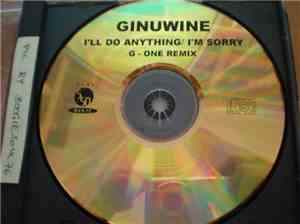 Ginuwine - I'll Do Anything / I'm Sorry (G-One Remix)