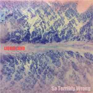 Liquid Land - So Terribly Wrong