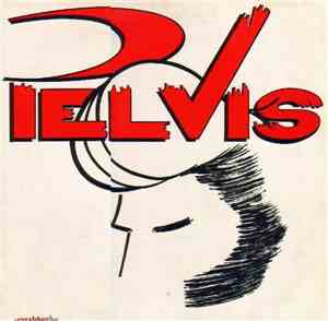 Pelvis  - Pelvis 2