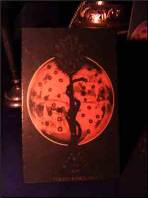 Blood Moon  - Through The Scarlet Veil