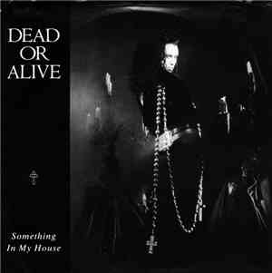 Dead Or Alive - Something In My House