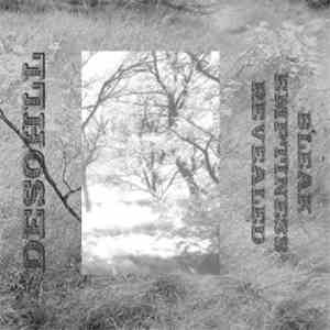 Desohll - Bleak Emptiness Revealed