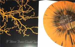 If These Trees Could Talk - If These Trees Could Talk