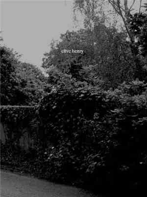 Clive Henry  - Twelve Suicides