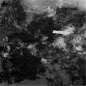 Eva Aguila - The North Side