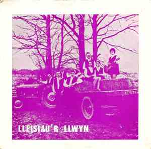 Lleisiau'r Llwyn - Lleisiau'r Llwyn