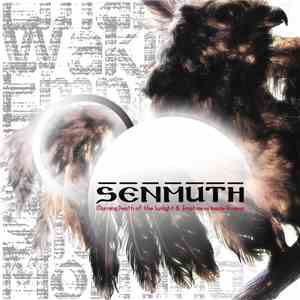 Senmuth - Morning Depth Of The Sunlight And Emptiness Inside Reason