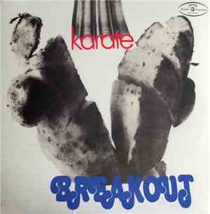 Breakout - Karate