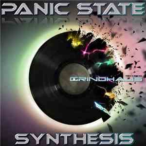 Panic State - Synthesis