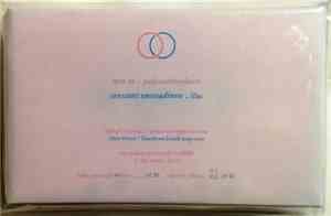 Pinkcourtesyphone / Lilac - Non Us / Constant Unsteadiness