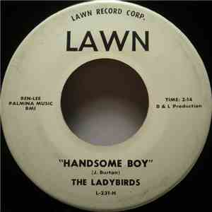 The Ladybirds  - Handsome Boy