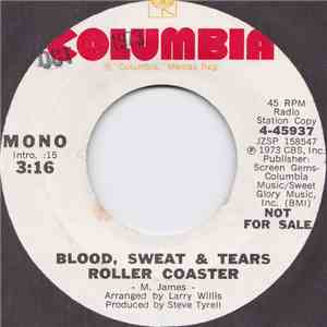 Blood, Sweat And Tears - Roller Coaster