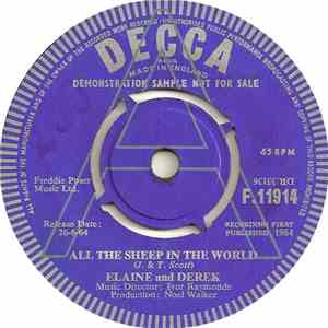 Elaine And Derek - All The Sheep In The World
