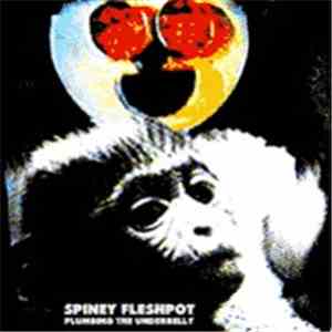Spiney Fleshpot - Plumbing The Underbelly