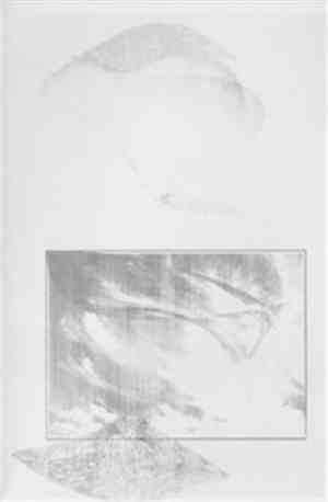 Treetops / Abelar Scout / Evan Miller / Taterbug - Split