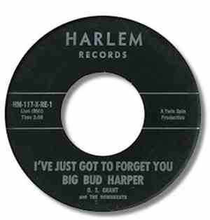 Big Bud Harper - I've Just Got To Forget You