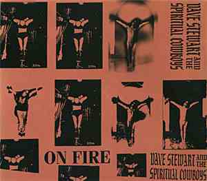 Dave Stewart And The Spiritual Cowboys - On Fire