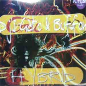 DJ Gato & DJ Buffon - Hybrid