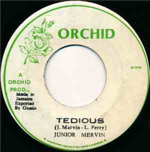 Junior Mervin - Tedious