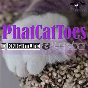 DJ Knightlife & Seth Vogt - PhatCatToes