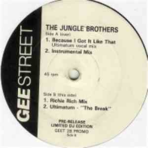 Jungle Brothers, The - Because I Got It Like That