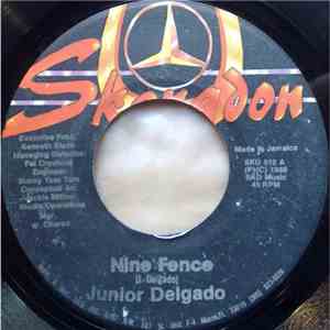 Junior Delgado - Nine Fence