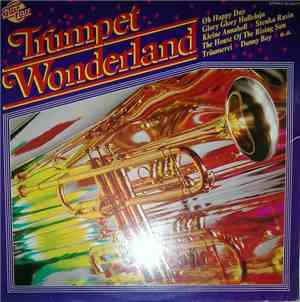 King Farmer - Trumpet Wonderland