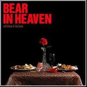 Bear In Heaven - Red Bloom Of The Boom
