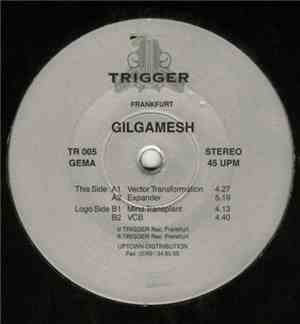 Gilgamesh - Vector Transformation