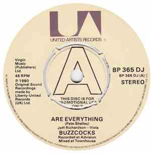 Buzzcocks - Are Everything